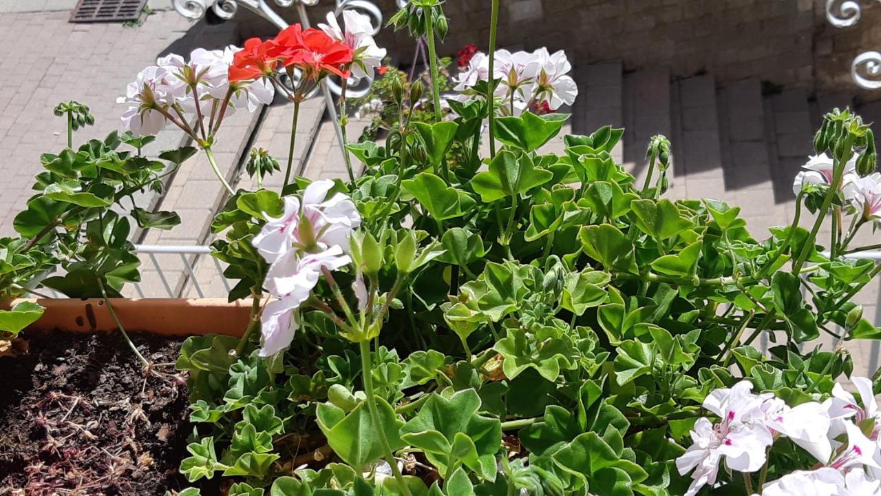 Maison A Tour Briancon Dış mekan fotoğraf
